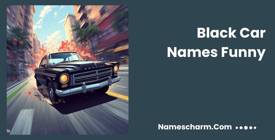 Black Car Names Funny
