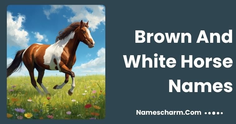 Brown And White Horse Names