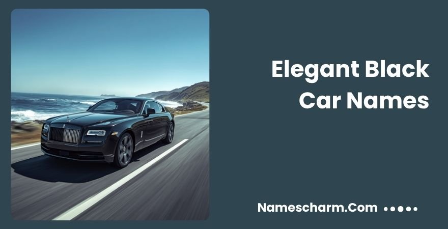 Elegant Black Car Names