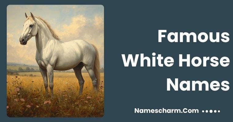 Famous White Horse Names