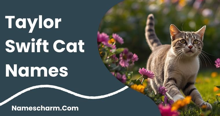 Taylor Swift Cat Names
