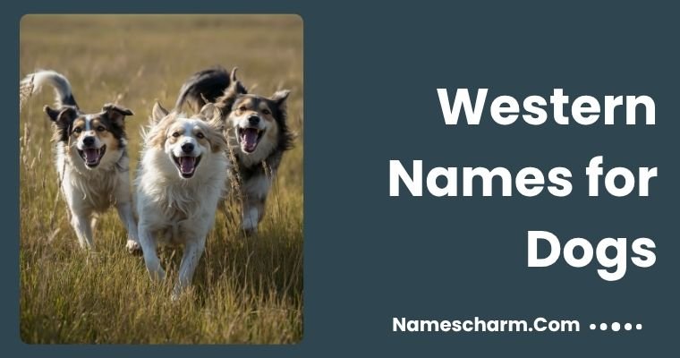 Western Names for Dogs