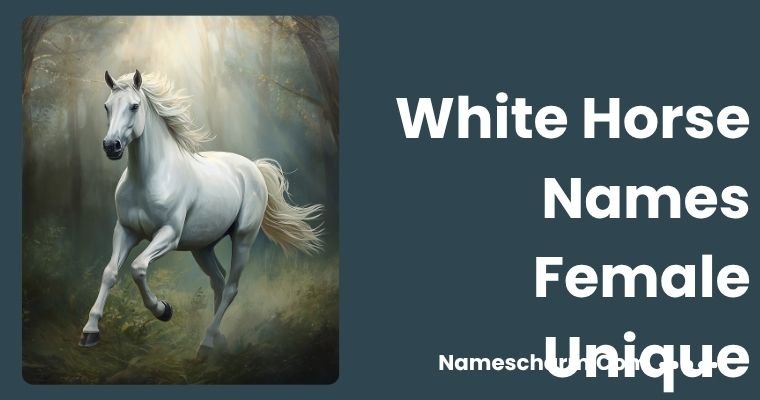 White Horse Names Female Unique