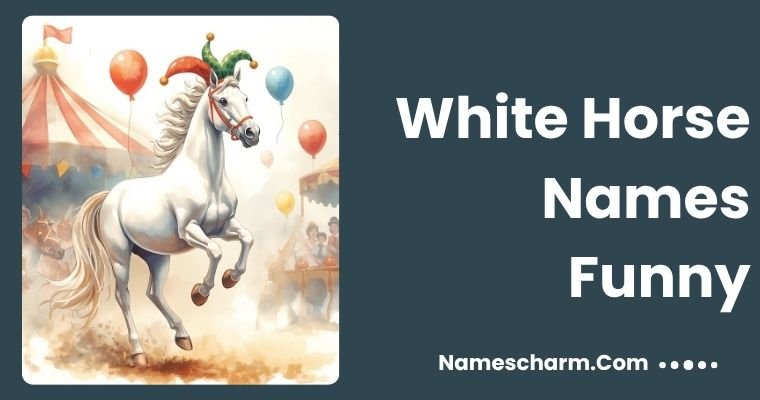 White Horse Names Funny