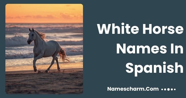 White Horse Names In Spanish