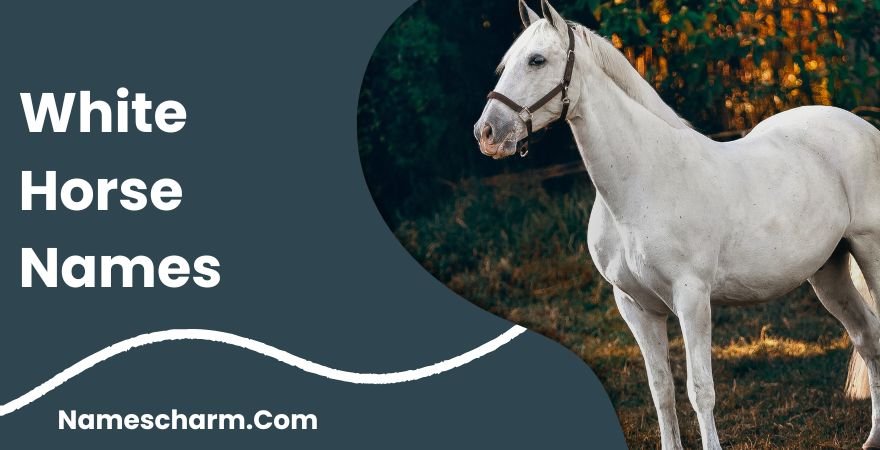 White Horse Names