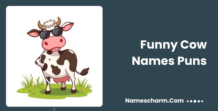 Funny Cow Names Puns